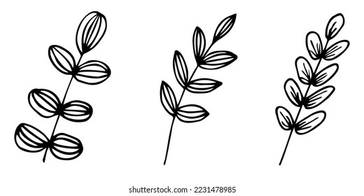 twigs drawn by hand with a black and white line simple drawings for decoration