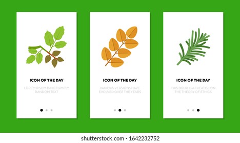 Twigs flat icon set. Yellow, green, withered branches, isolated sign pack. Botany, plants, trees, park concept. Vector illustration symbol elements for web design