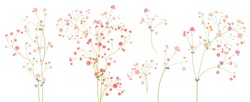 Twigs Of Gypsophile Paniculata. Pink, White, Red Tiny Flowers, Buds, Green Leaves. Delicate Ramules For Bouquets. Panoramic View, Botanical Illustration In Watercolor Style, Horizontal Pattern, Vector