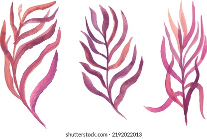 twigs with leaves of different colors vector isolated elements.