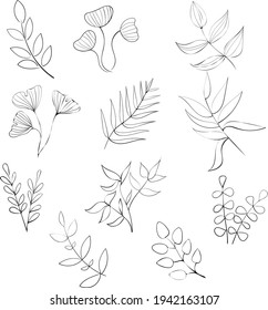Twigs and leaves drawn with a black line. Vector illustration