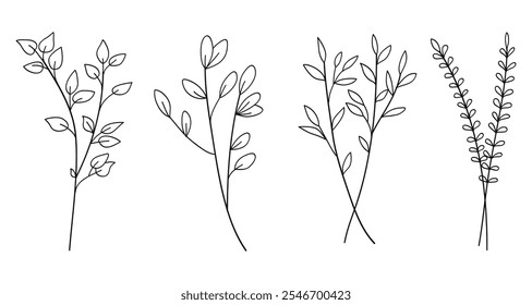 Twigs with leaves hand drawing botanical collection.Vector illustration 