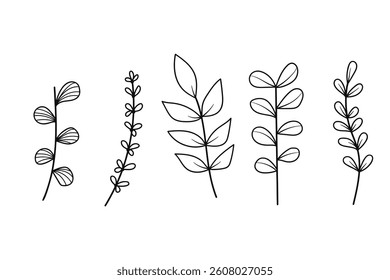 Twigs with leaves hand drawing botanical collection.Vector illustration