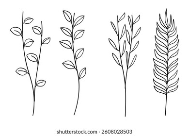 Twigs with leaves hand- drawing botanical collection.Vector illustration