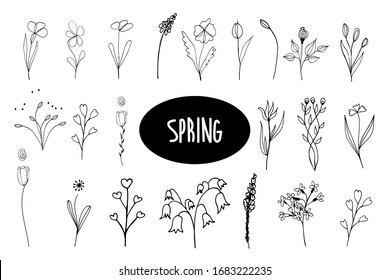 Twigs, leaves. Isolated graceful plants for design. Set of black vector illustrations on a white background. Can be used as design elements for invitations, greetings, decoration