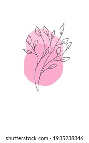 twigs with leaves on a white background. Elements for decoration