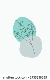 twigs with leaves on a white background. Elements for decoration