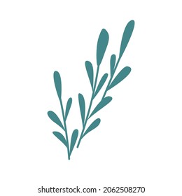 Twigs with leaves. Vector illustration isolated on white background. Twigs with leaves icon. Design element. Simple flat picture. Hand-drawn art. Vector illustration. Stock image.