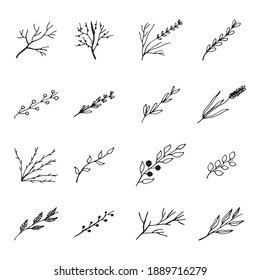 twigs with leaves. vector sketch set