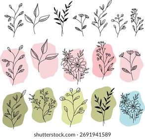 twigs line art cute set botanical