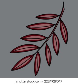 Twigs with narrow leaves on a gray background
