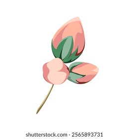 Twigs with pink buds on a white background. Flowers for decoration. Vector illustration.