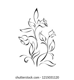 twigs with rose buds and leaves in black lines on white background