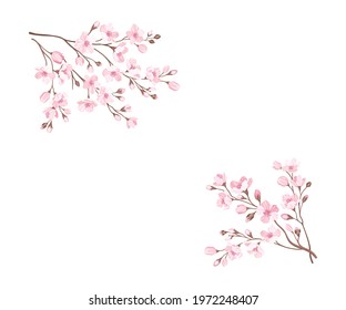 Twigs of Sakura or Cherry Blossom Arranged in Corners Vector Illustration