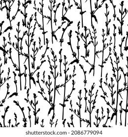 ramas sin fisuras. Fondo floral, silueta de hierbas, ramas.