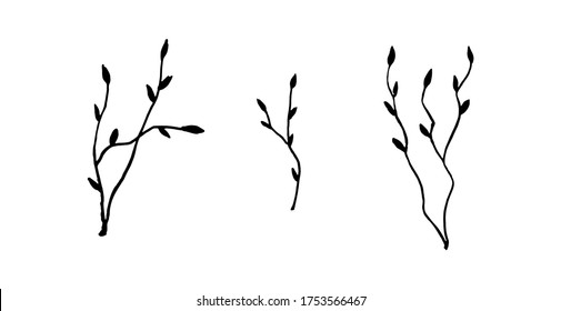 garabato - ilustración vectorial. ramas de plantas decorativas aisladas en fondo blanco. planta de primavera en negro