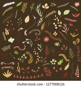 twigs set vector