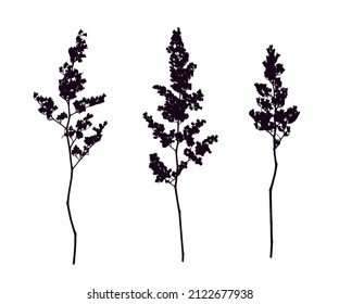 Twigs silhouettes set. Vector design elements. Natural form