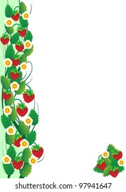 Twigs with strawberries. The illustration on a white background.