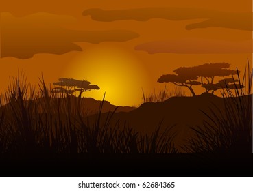 Twilight, sunset in the savanna