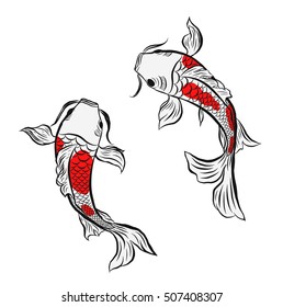 Carpe Koi Dessin Hd Stock Images Shutterstock