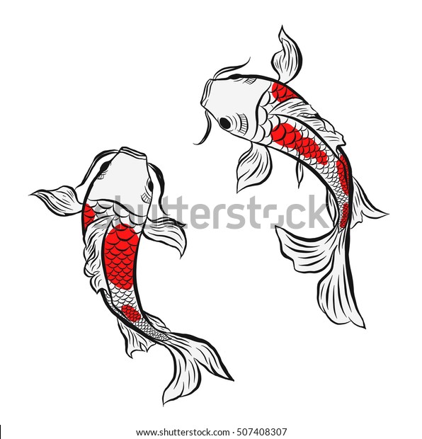 Twin Fish Koi Illustration Isolated Stock Vector (Royalty Free) 507408307