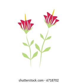 Twin flowers