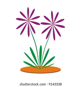 Twin flowers
