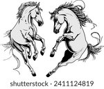 Twin horses, stallions, horses playing, playful horse vector, horse vector