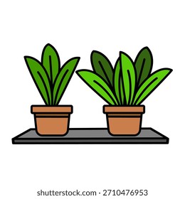 Plantas de folhas gêmeas na prateleira
