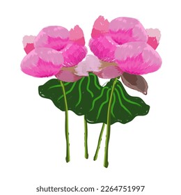 Twin lotus.love.nature,floral,water,
bloom,illustration painting,water color vector 