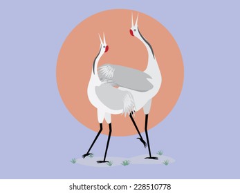 Twin red crowned cranes : Love concept