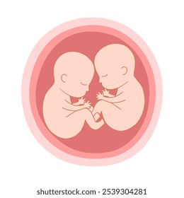 Ilustración vectorial de concepto de feto de gemelos bebé en crecimiento prenatal.