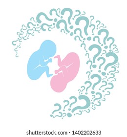 it's twins! Multiple pregnancy. Monozygotic twins (embryos). Design element for pregnancy theme. Maternity, motherhood, baby.  Baby Desire.  Fetus.  Vector illustration