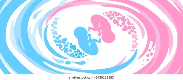 it's twins! Multiple pregnancy. Monozygotic twins (embryos). Design element for pregnancy theme. Maternity, motherhood, baby.  Baby Desire.  Fetus.  Vector illustration