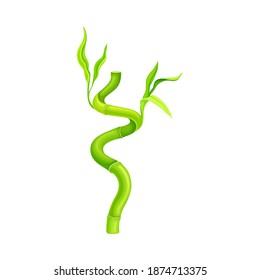 Twisted Bamboo Hollow Stem and Green Foliage Vector Illustration