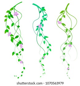 Twisted branches with pink flowers, vector