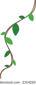 Twisted jungle vines climbing plant cartoon. hand drawing cartoon. Green leaves vines