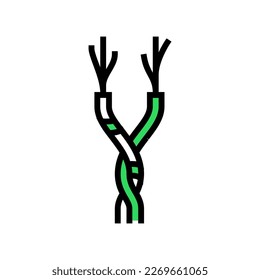 twisted pair cable color icon vector. twisted pair cable sign. isolated symbol illustration