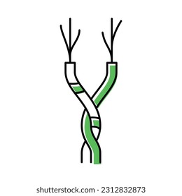 twisted pair cable color icon vector. twisted pair cable sign. isolated symbol illustration