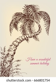 Twisted palm tree, summer vacation background