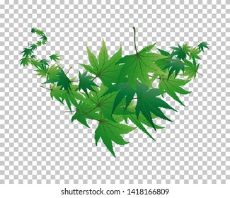 Twisted row of  maples leaves with transparency grid on back. Vector Illustration.