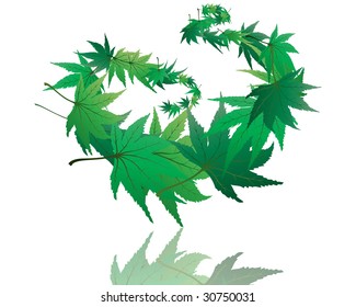 Twisted row of  maples leaves. Vector illustration.