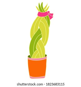 Twisted sansevieria houseplant in a pot. Flat style with outline. Hand drawn vector illustration of a potted plant isolated on white background. Pink, green, orange colors.