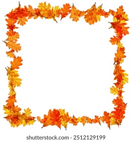 Twisted square frame of autumn oak leaves in vibrant orange and yellow tones. Vector illustration.