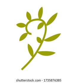 Twisted wild creeper jungle branch vines plants. Woody natural rainforest. Stock Vector Graphics Green branch of creeper. Tropical little branch with leaves. Exotic plant on a white background. T