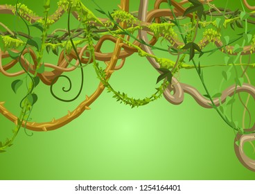 Twisted wild lianas branches background. Jungle vines plants. Woody natural tropical rainforest.