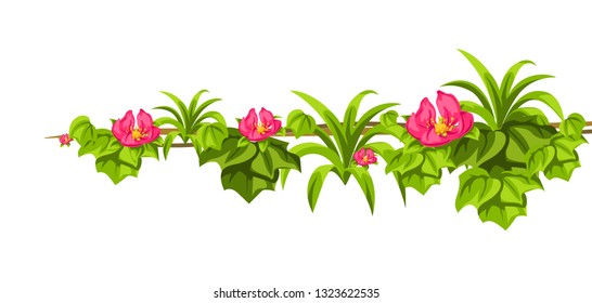 Twisted wild lianas branches background. Jungle vines plants. Woody natural tropical rainforest.