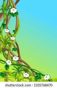 Twisted wild lianas branches background. Jungle vines plants. Woody natural tropical rainforest.