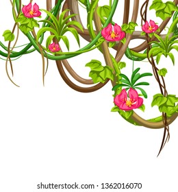 Twisted wild lianas branches background. Jungle vines plants. Woody natural tropical rainforest.